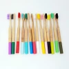 Different Colors Eco paint round popular Moso Bamboo handle Toothbrush