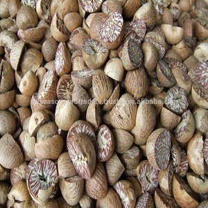 Dried betel nut high quality with cheap price.