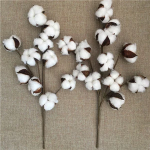 Dried Cotton Stems Natural Flowers Wholesale Indoor Decoration
