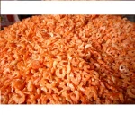 DRIED SHRIMP BEST STANDARD