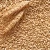 Import Dried Style Wheat for Bread Making/ Quality Wheat grains for sale from Ukraine