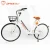 dynavolt hot sale sharing electric bicycle bike electric