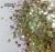 Import Eco-friendly Colorful Glitter Sequins Nail decoration Bulk Cosmetic Glitter from China