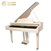 Electronic organ Digital grand piano 88 keys digital piano CDG-1200
