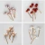 Import Elegant Colorful Pearls Wedding Bridal Hair Pin Clip Accessories Headpiece Bridal Jewelry Pins Hairgrips from China
