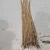 Import Factory direct sale to cure cold burdock fresh burdock root from China