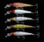 Import Factory Direct Sales Set Fishing Bait Minnow Worms Fishing Bait from China