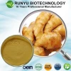 Factory Price high quality Ginger root extract 1% to 5% gingerol for gingerol tablet gingerol capsule