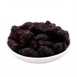 FD Mulberry 100% Nature Freeze Dried Mulberry Premium Grade Frozen Mulberry Fruit Morus Alba With Right Prices