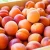 Import Fresh apricot, Organic Fresh apricot, Fresh Apricot fruit from Germany