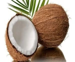 FRESH COCONUT WHOLESALE PRICE