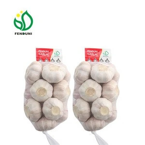 Fresh Garlic Price new crop 1kg