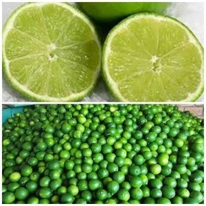 Fresh Green Lime Seedless and SEEDLESS LIME