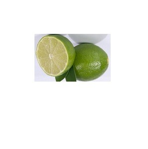 Fresh Green Lime Seedless and SEEDLESS LIME,PERSIAN LIME from South Africa