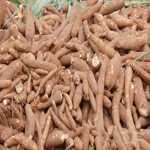 Fresh harvested Cassava from Gabon