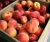 Import FRESH PEACHES from South Africa