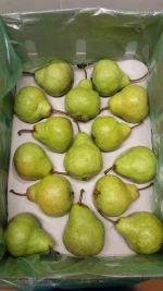 Fresh Pears