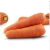 Import Fresh Raw Carrots Premium Quality from South Africa