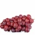 Import Fresh Seedless Grape at Wholesale Price from Brazil