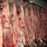 Frozen halal beef meat from Central Asia