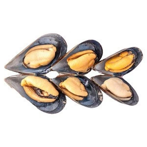 Frozen shellfish half shell Mussel