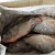 Import Frozen Tilapia Fish Supplier Chinese Factory from China