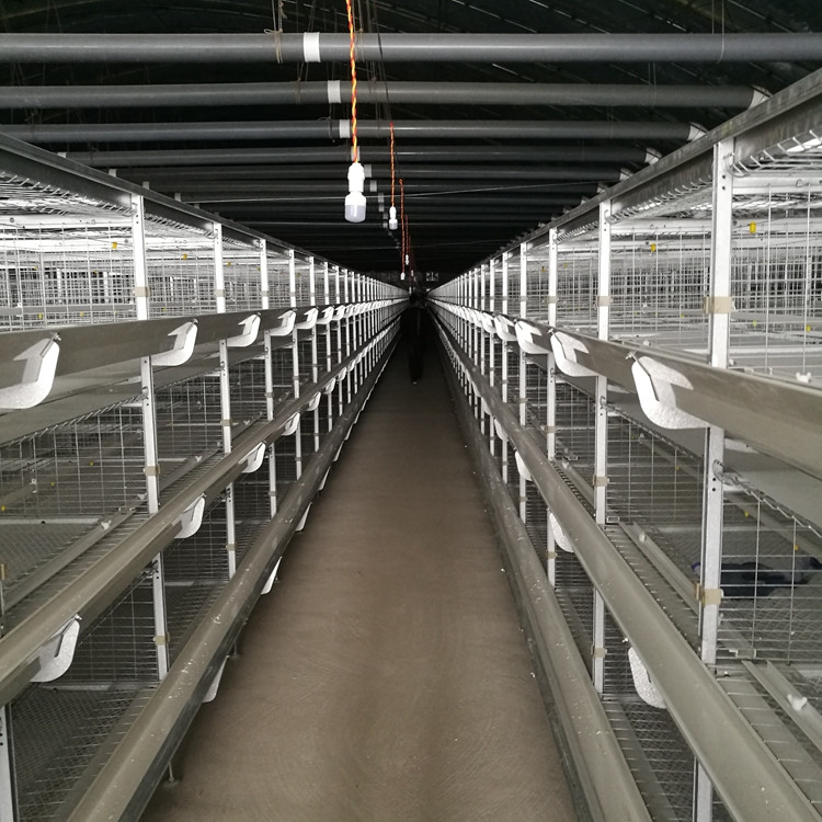 Buy Galvanized House Welded Wire Mesh Broiler Chicken H Type Automatic ...
