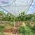 Import Galvanized Steel Frame  Easy To Install Greenhouse Covering Polyethylene Plastic Film Greenhouses from China