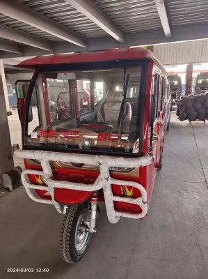 Gasoline Tricycle for Passengers Rickshaw