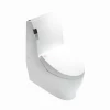 Gizo JJ-0802z Electric smart toilet one piece sanitary ware ceramic wc toilet bowl