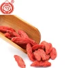 Goji fruit chinese dried fruit berry goji food ingredients used for cake