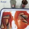 Good Price Canned Sardines in Tomato Sauce 125g