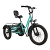 Good Quality 1000W funTricycles family fat tire 3 Wheels electric bike comes with UL-Certified Battery