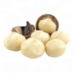 Grade A macadamia nuts for sale