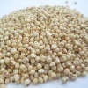 grain sorghum for sale,sorghum press