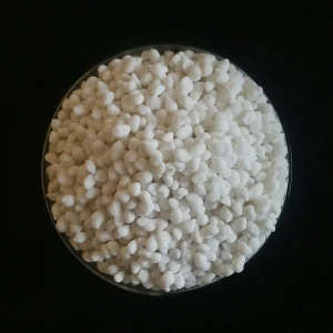 Granular Nitrogen Fertilizer Ammonium Sulfate With Nitrogen 21% Sulphur 24%