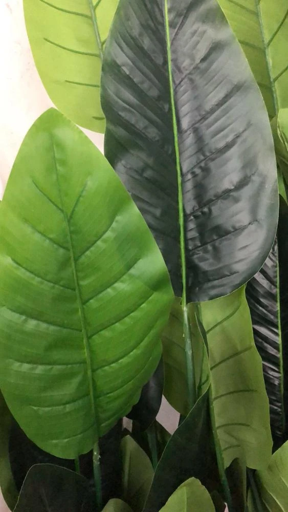 Green Artificial Monstera Leaf Plant Tree Branch Brazilian Leaves Palm Evergreen Tail Leaves