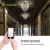 Import Guang zhou Hotel Supplies 15W WiFi Smart Mini Chandelier Ceiling Light LED Crystal Smart Home Light from China