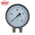 Import Guaranteed quality proper price 150mm pressure meter differential pressure gauges from China