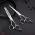 Import Hair Scissors Set 6 Inch Cutting Thinning Styling Tool Salon Hairdressing Shears from China