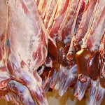 HALAL FRESH / FROZEN GOAT / LAMB / SHEEP MEAT / CARCASS