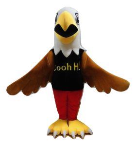 Hawk Mascot Costume