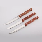 HD-VSK33 stainless steel steak knife set with pp blade