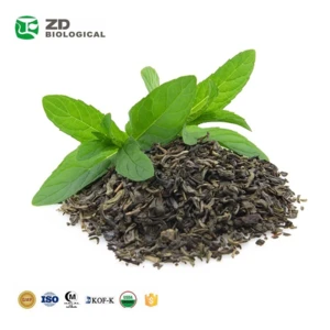 Health product green tea extract