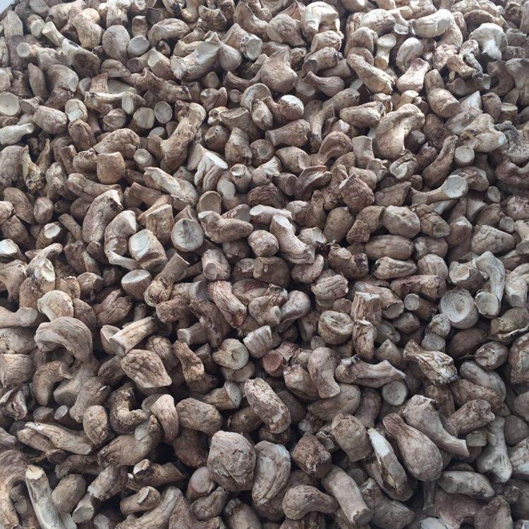 Healthy Organic Food  onlg 1Kg   dry   Dried   Shiitake Mushroom Stem/leg