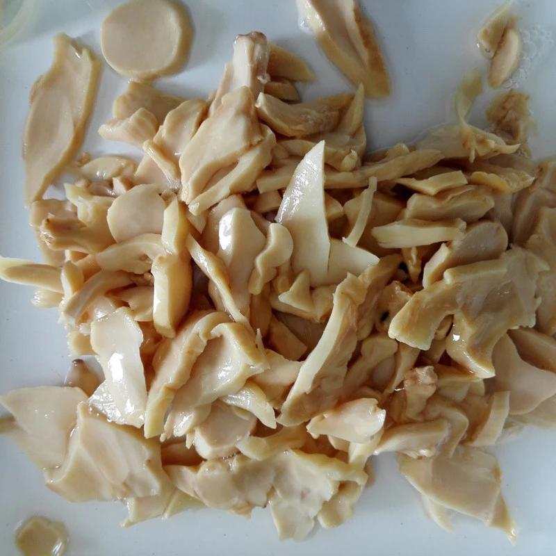 High quality 400g 100% canned king oyster mushroom