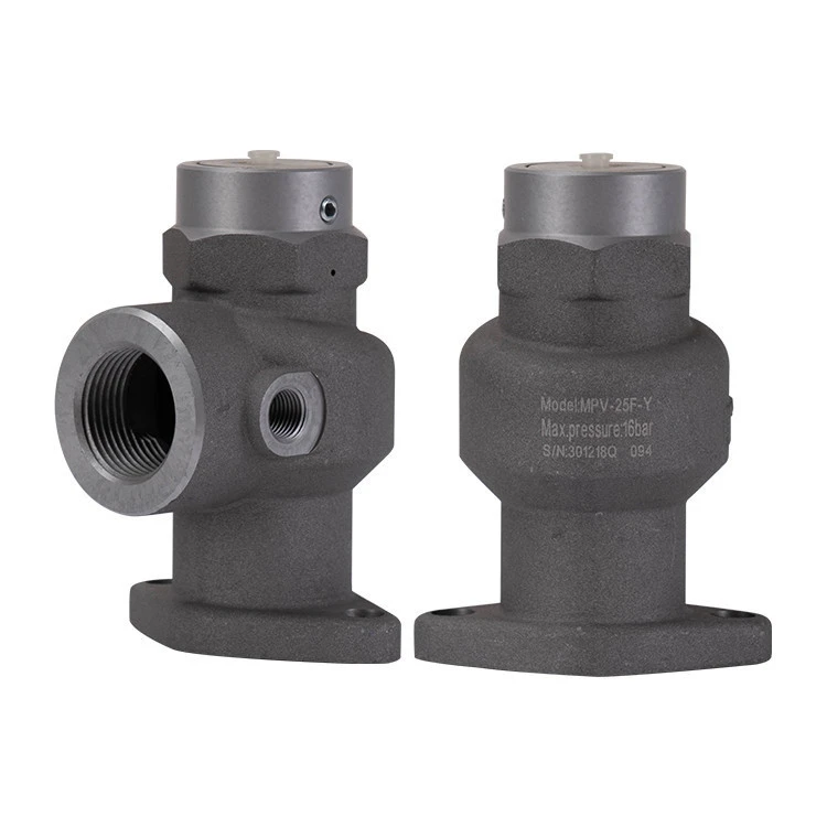 High quality air compressor parts Pressure maintaining valve