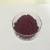 Import High quality best antioxidant aronia chokeberry fruit cranberry extract powder from China