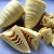 Import High Quality Canned bamboo shoots half from China