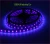 Import High quality Cuttable 60LED UV 390-400nm LED Flexible Strip Light from China